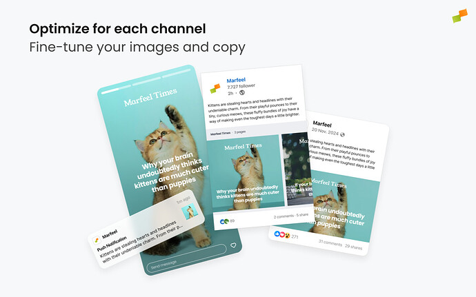 Adjusting your post's format to each channel