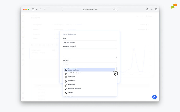 Naming a report and choosing a workspace