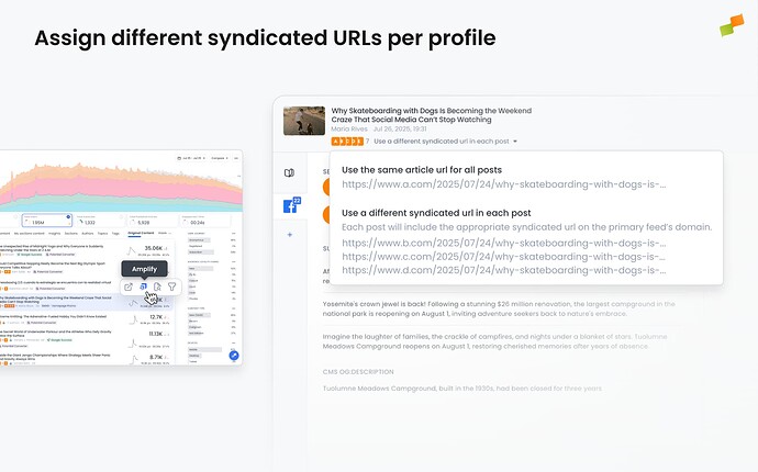 Amplify Syndicated Content
